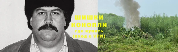 эйфоретик Богородск