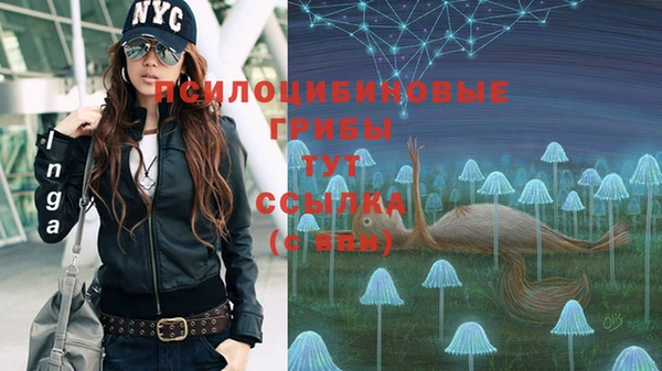 эйфоретик Богородск