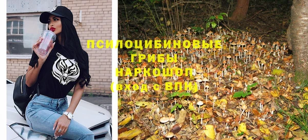 эйфоретик Богородск