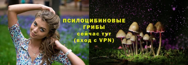 кокс Богданович